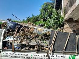 Best Attic Cleanout  in Clisle, AR